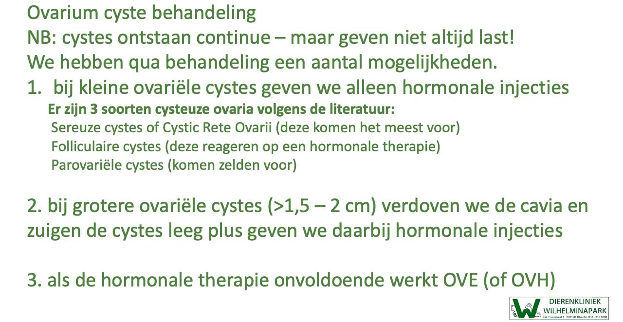 Bij cysteuze ovaria komen we vaak een kale rug en flanken voor